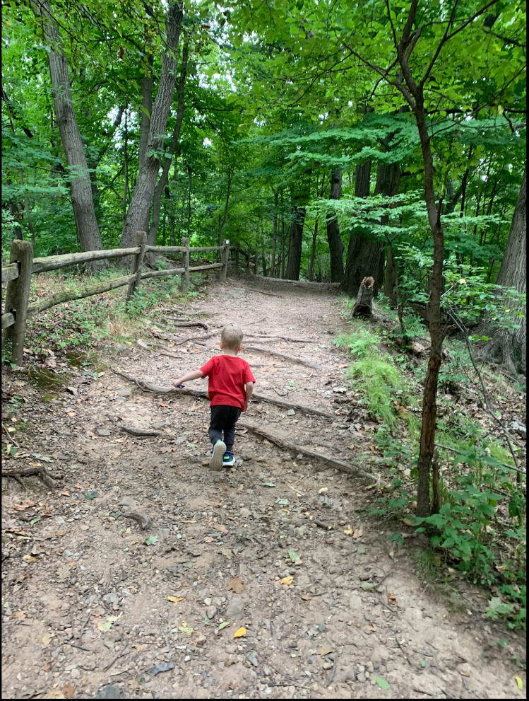 Flat Rock Brook Nature Center Englewood, NJ The Park Mama